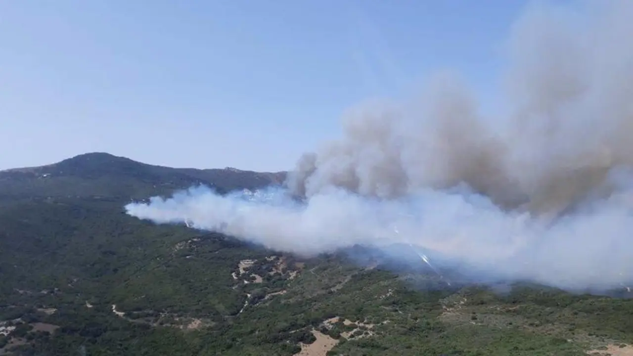  fotonoticia_20210817084456_1920 