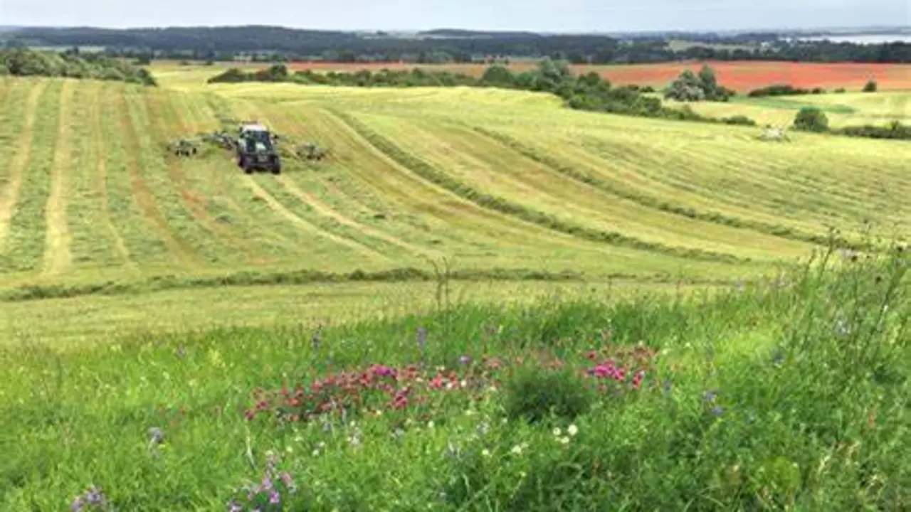  Asaja Andaluc&iacute;a valora las consecuencias de la ley de bienestar animal - Obtenido de Agroinformaci&oacute;n 
