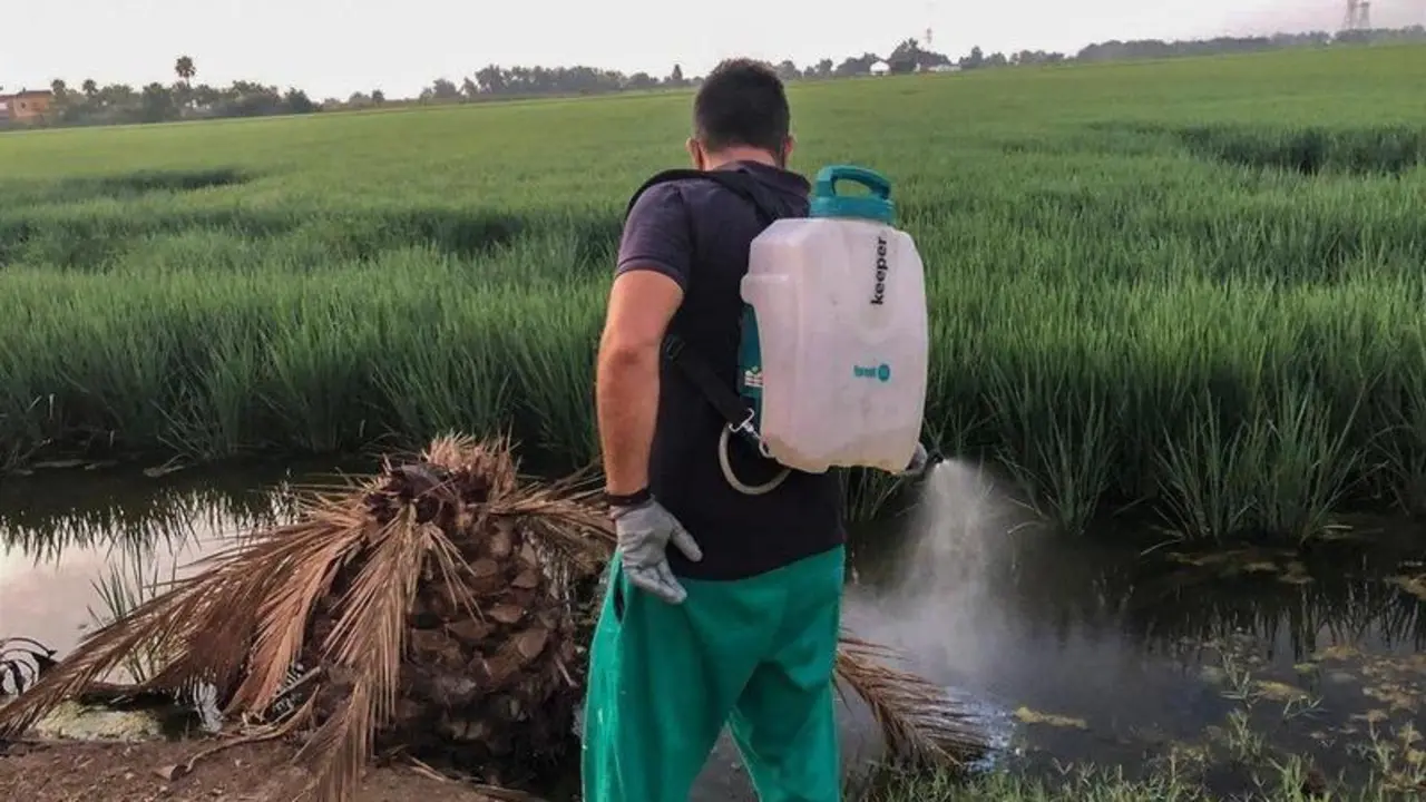  Labores de fumigaci&oacute;n por encargo del Ayuntamiento de La Puebla del R&iacute;o - AYTO. 