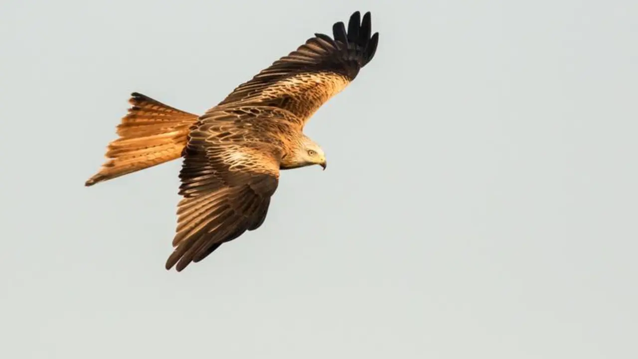  210821_Milano real 2 