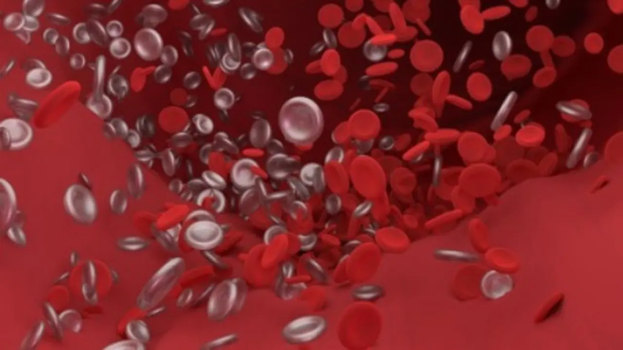  coagulaci&oacute;n de la sangre 