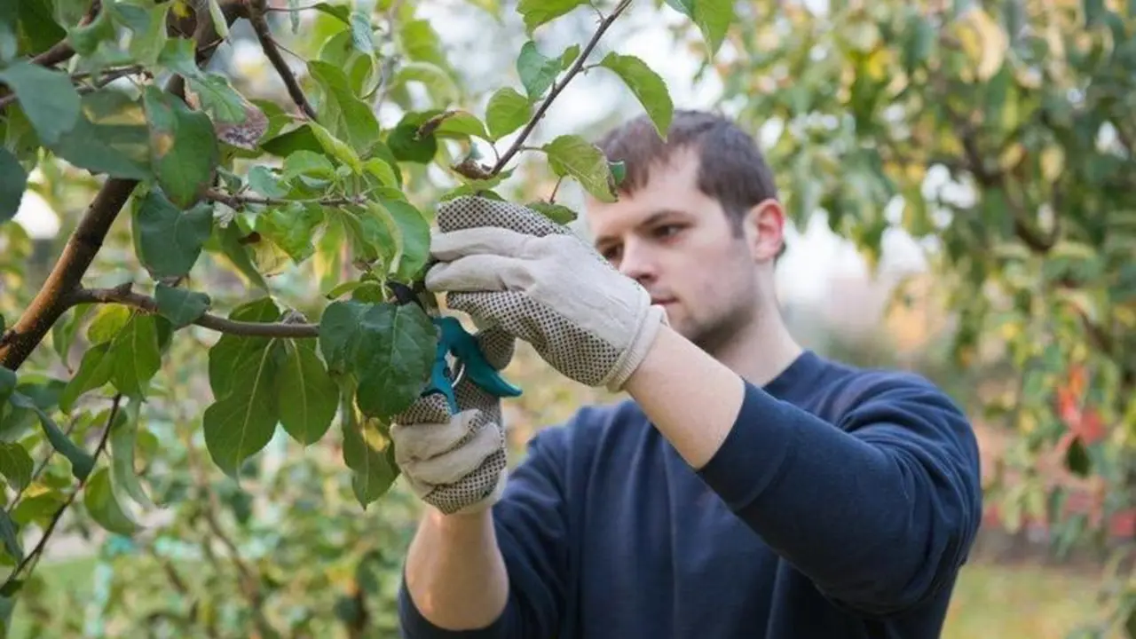  Pymes. Imagen de archivo 