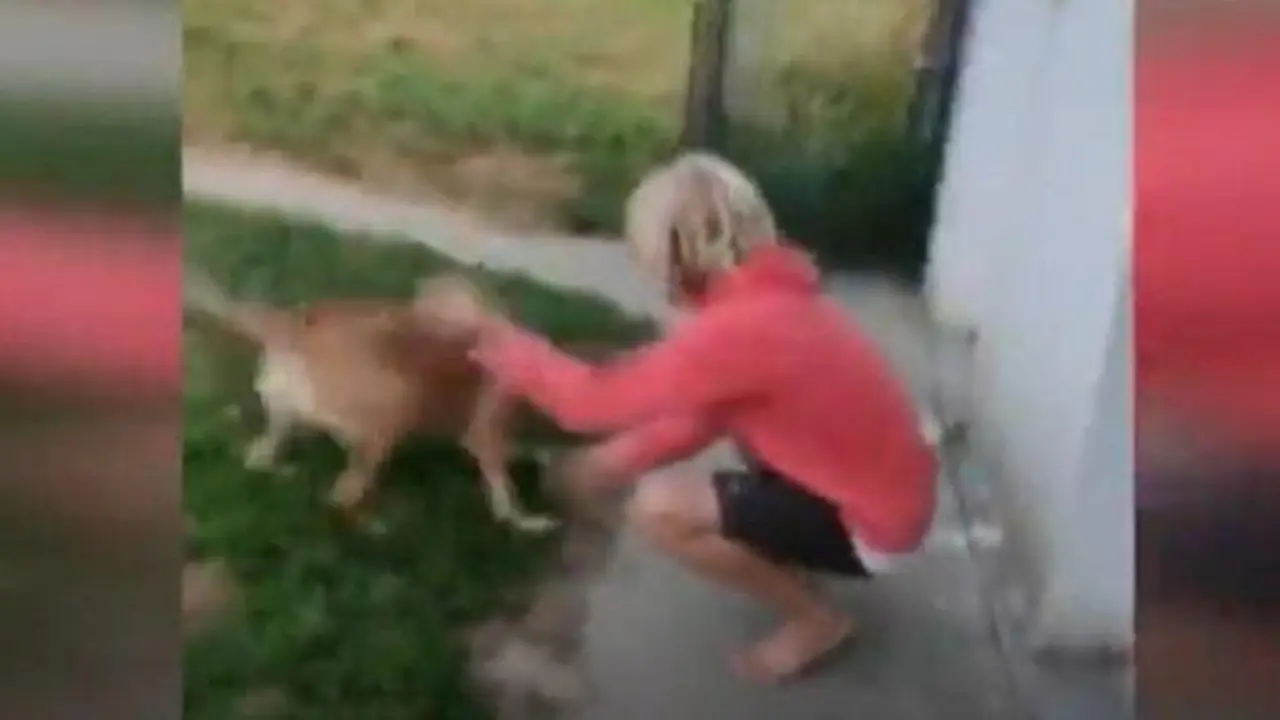  WhatsApp Image 2021-08-24 at 11.41.50 