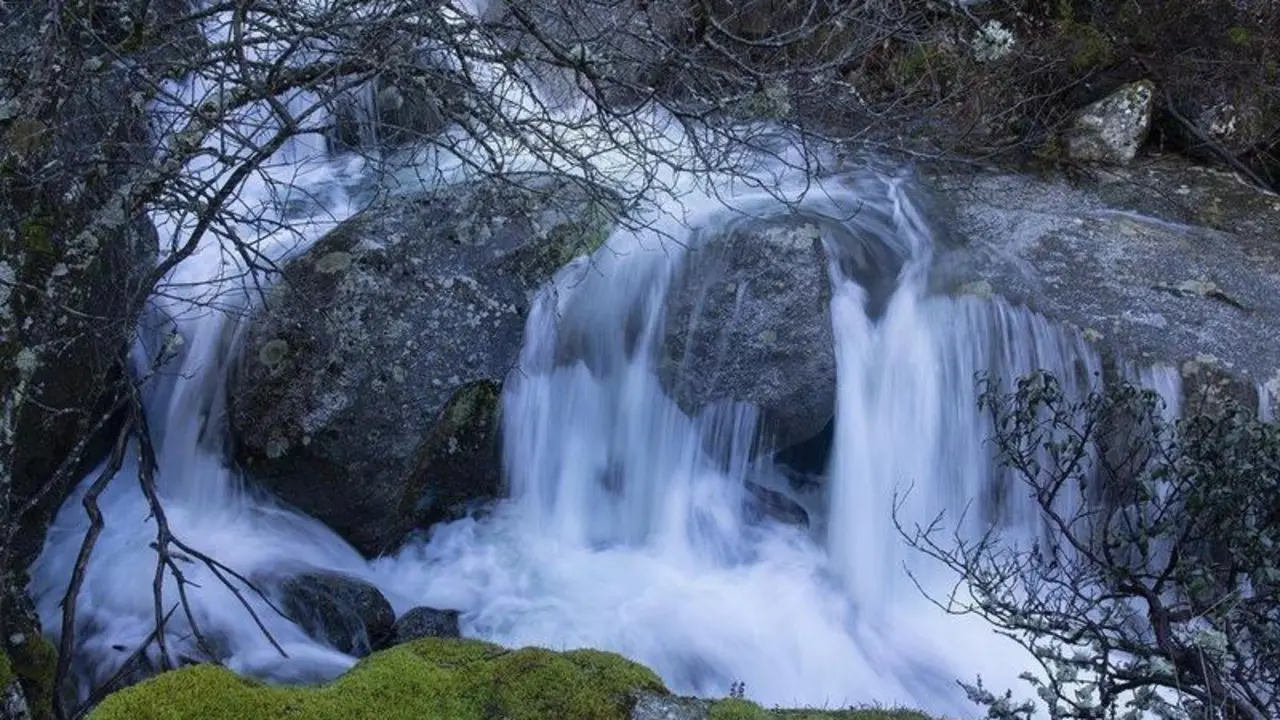  fotonoticia_20210824182437_1920 