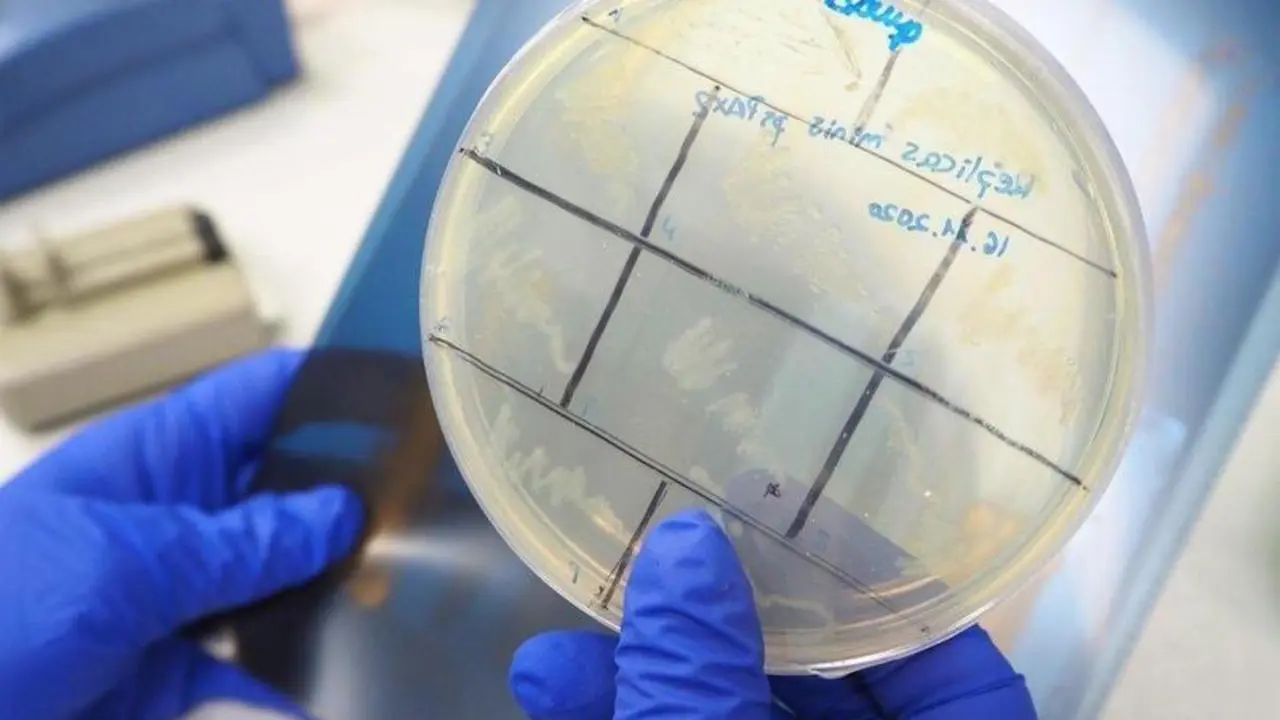  fotonoticia_20210825112307_1920 