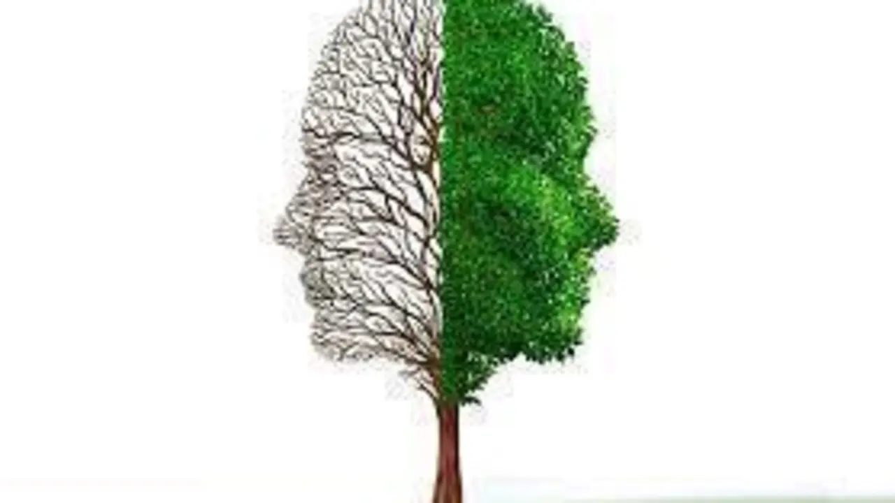  7B971143-3476-45F2-9C99-26F12E8676D8 