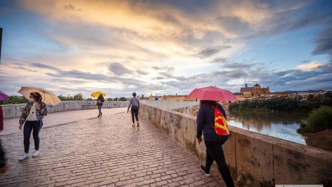  Lluvia en C&oacute;rdoba. | Jos&eacute; Le&oacute;n. 