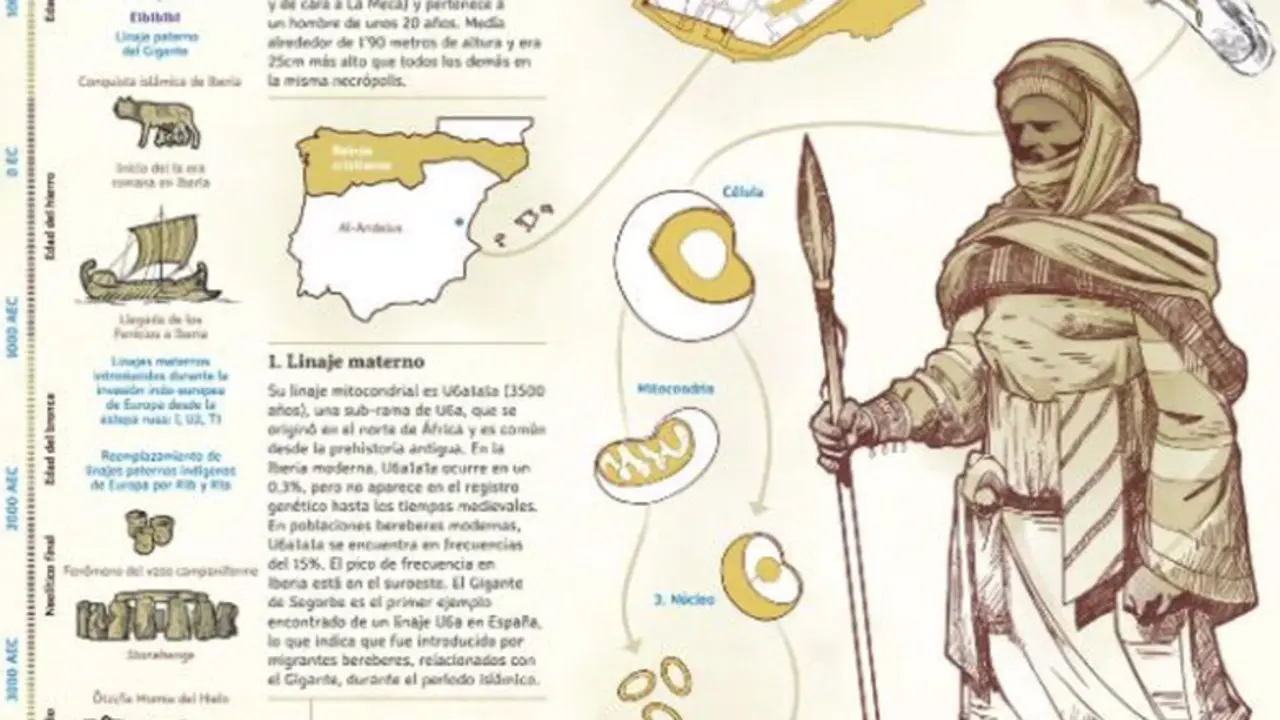  Descripci&oacute;n del Gigante de Segorbe - AMPARO BARRACHINA IB&Aacute;&Ntilde;EZ/DIPUTACI&Oacute;N DE CASTELL&Oacute;N 