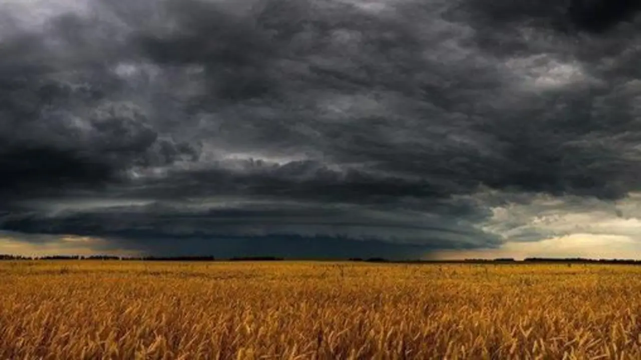  Adversidad clim&aacute;tica 