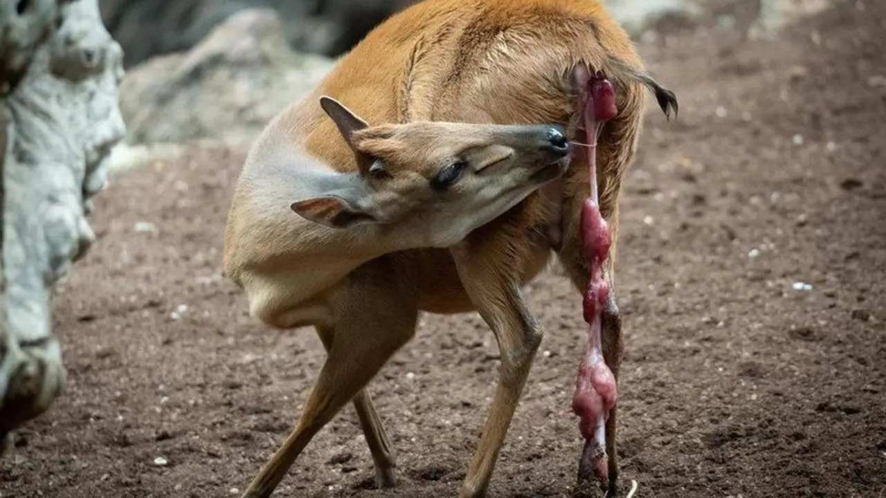 <p> A892CD30-BD8A-4D43-8D27-30D67457FC6B </p>