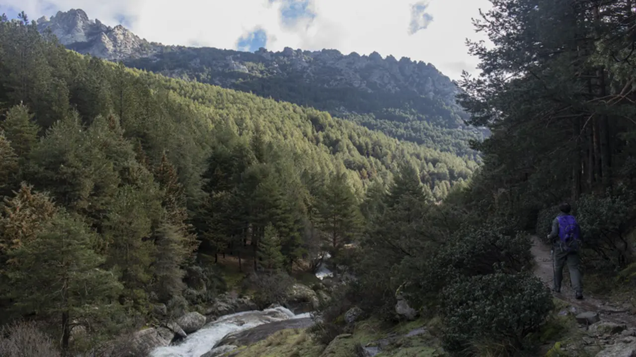 <p> Archivo - Imagen de archivo de senderismo en alta monta&ntilde;a - Rafael Basante - Europa Press - Archivo </p>