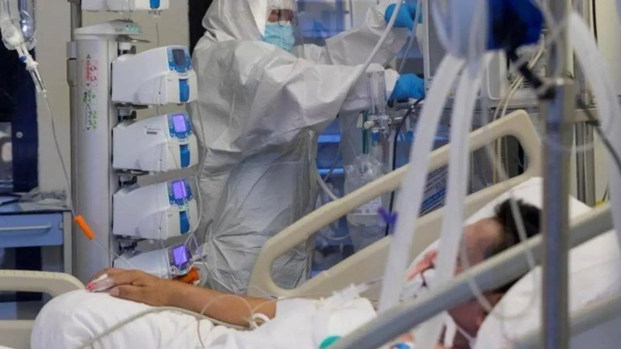 <p> molnupiravir </p>