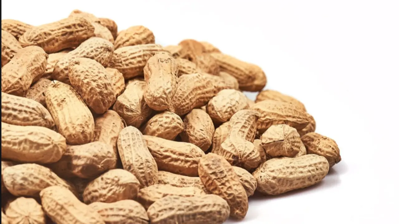 <p> Cacahuetes. FRUTOS SECOS REYES </p>