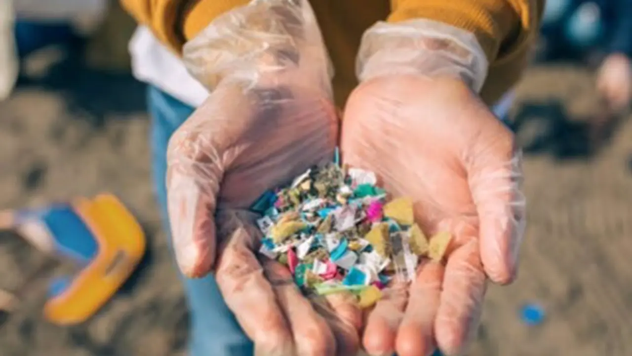 <p> Captoplastic en su iniciativa de recogida de micropl&aacute;sticos - FUNDACI&Oacute;N EVERIS </p>