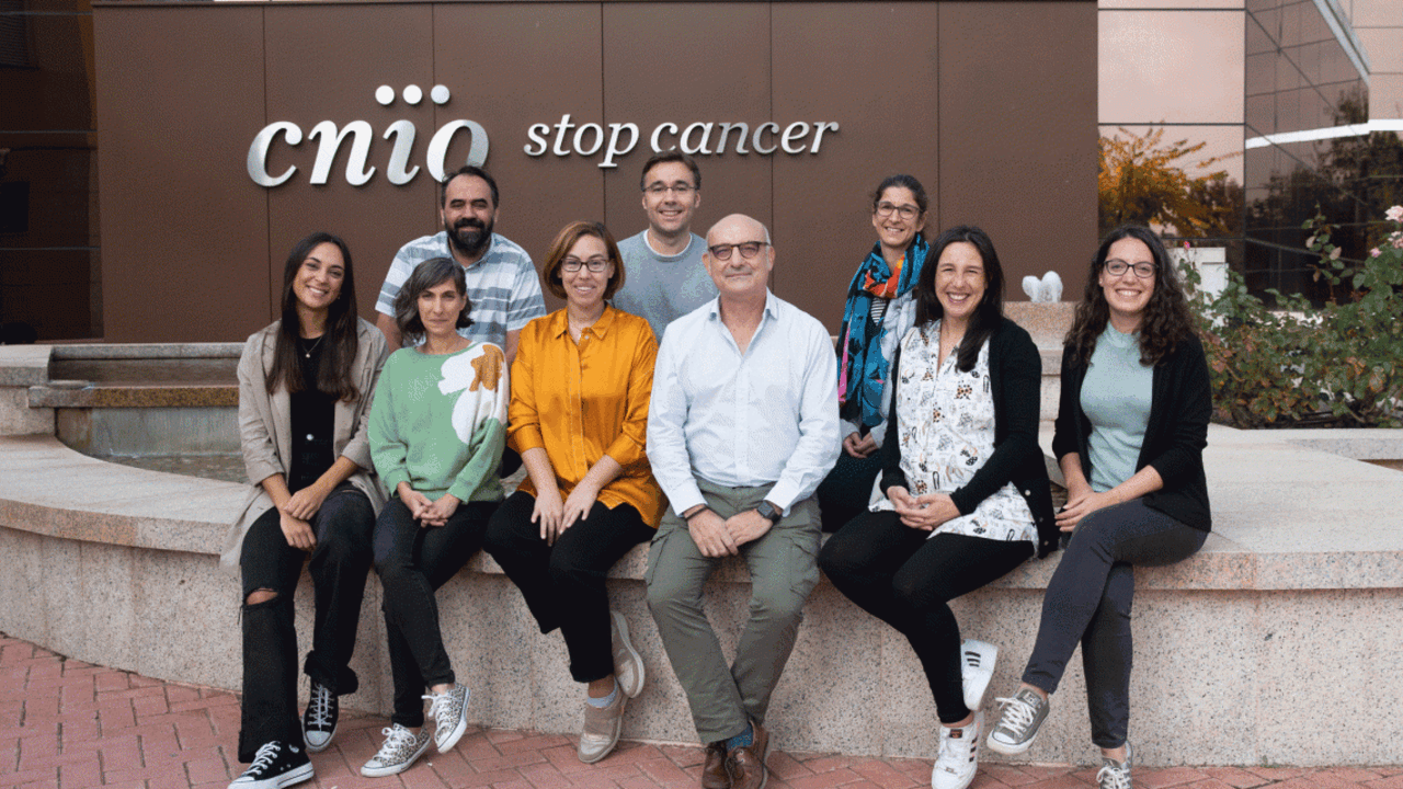 <p> El grupo de investigadores del proyecto </p>