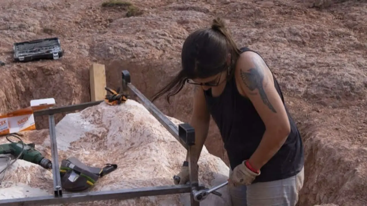 <p> El proyecto lleva recuperados ya casi 100 huevos f&oacute;siles en un &oacute;ptimo estado de conservaci&oacute;n. </p>