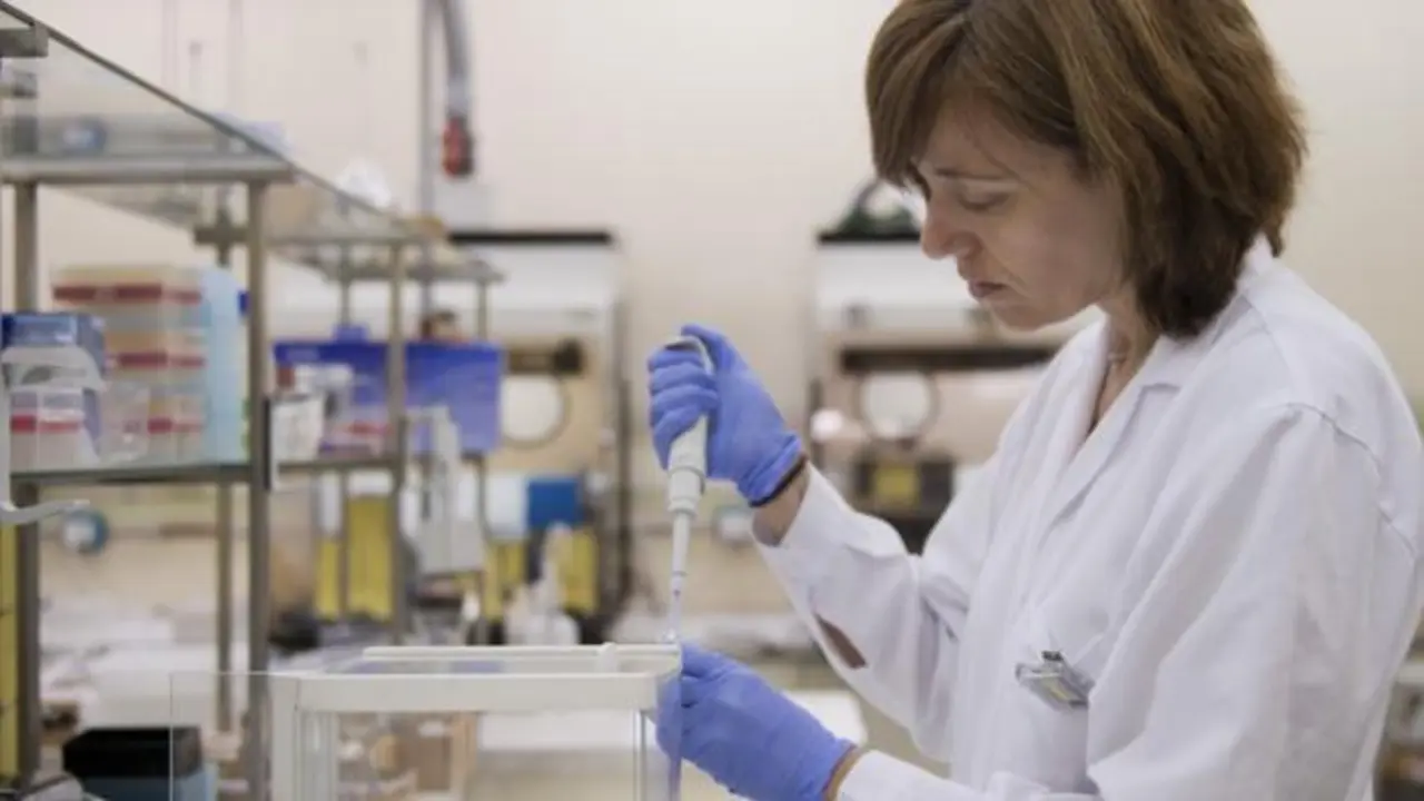 <p> Investigadora del CSIC. </p>