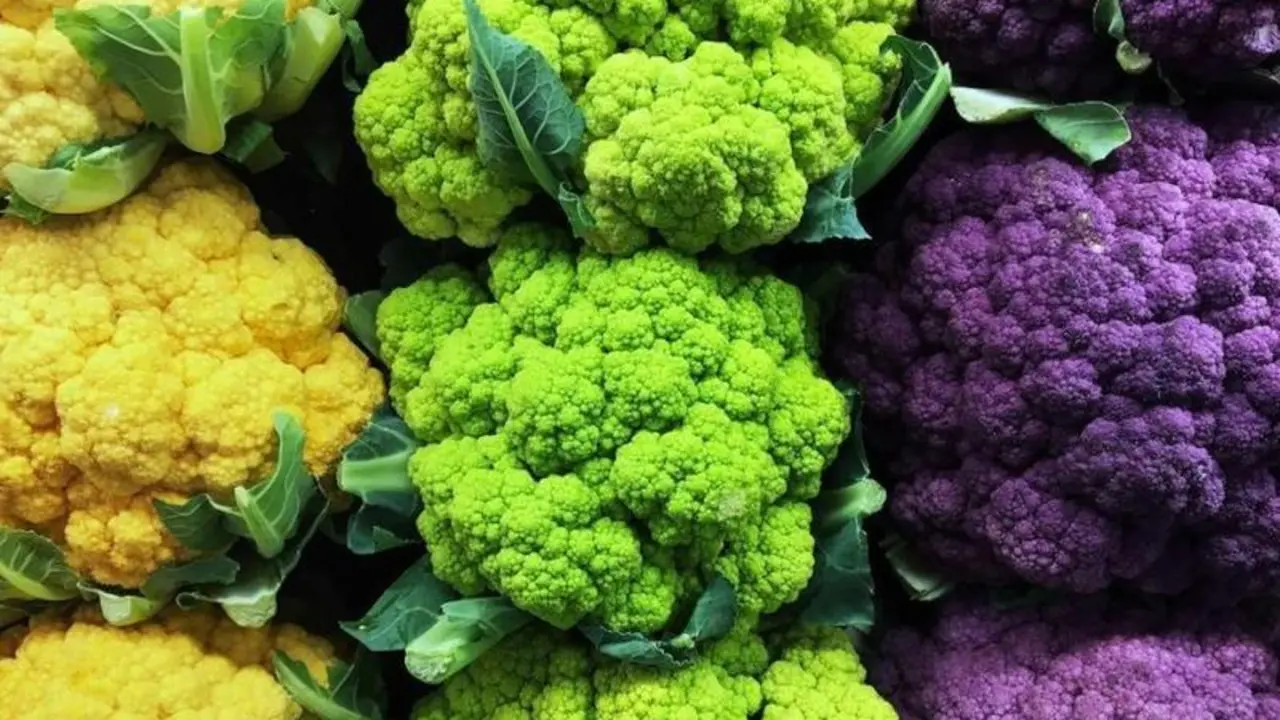 <p> Las coliflores pasan, gracias a esto, a la larga lista de elementos que se usan para intentar ocultar droga. </p>