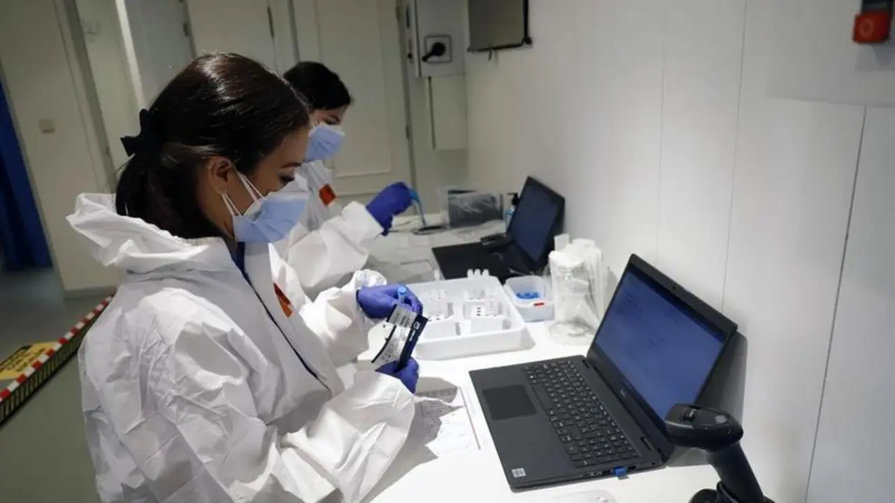 <p> Sanitarias preparan pruebas Covid. // EP </p>