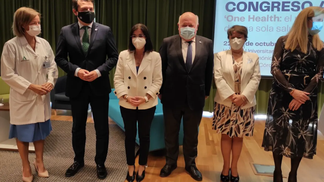 <p> Darias agradece la labor de los periodistas durante la pandemia al inaugurar el XVI Congreso de la ANIS en C&oacute;rdoba </p>