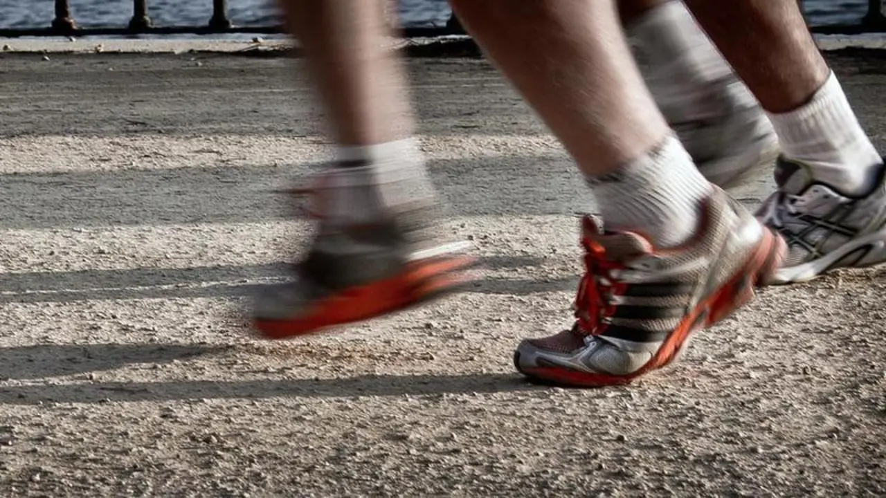 <p> Creative Commons. </p>