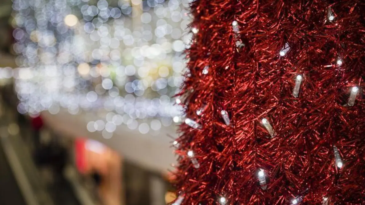 <p> Luces de Navidad. - José León </p>