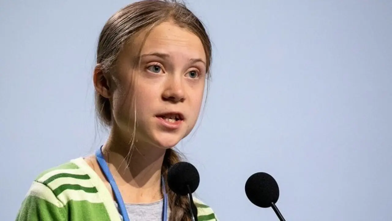 <p> Greta Thunberg (Twitter) </p>