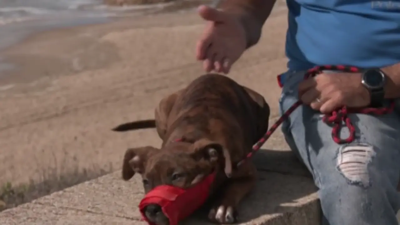 <p> Captura de pantalla (87) </p>