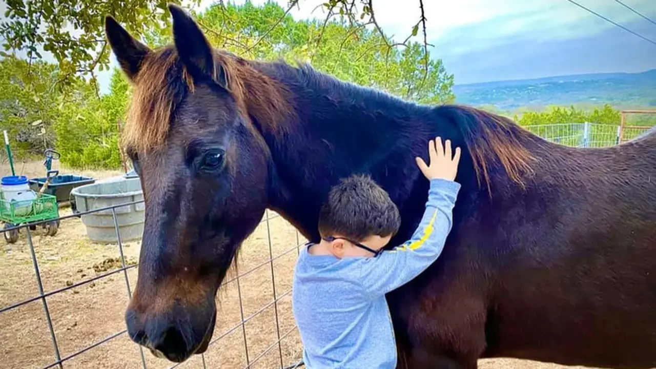 <p> Un ni&ntilde;o con discapacidad abraza a un caballo rescatado. Imagen SAFE </p>