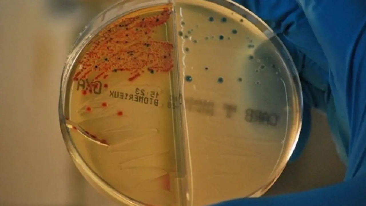 <p> Esta campa&ntilde;a ya ha usado el mismo eslogan otros a&ntilde;os, buscando siempre fomentar el uso responsable. </p>