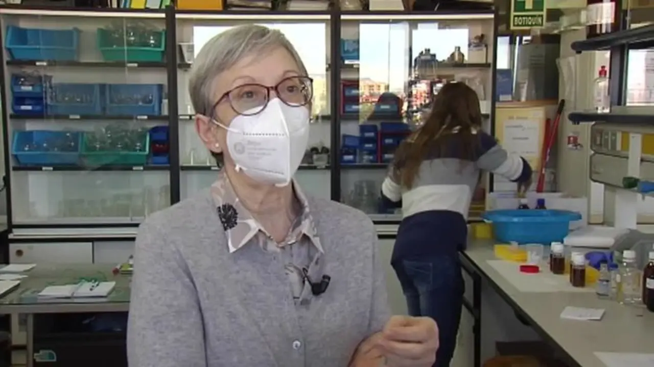 <p> Una de las creadoras del test desarrollado en la universidad de Valencia. Fuente: Twitter </p>