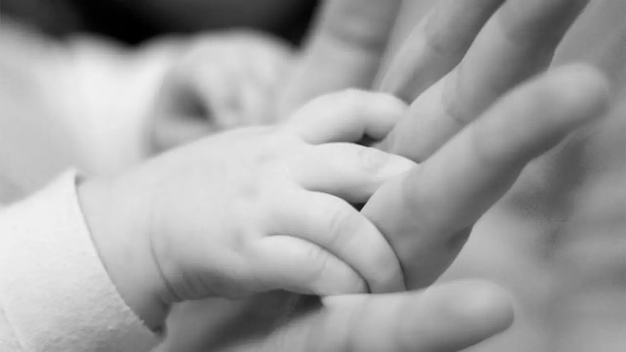 <p> manos-bebe-adulto_p </p>