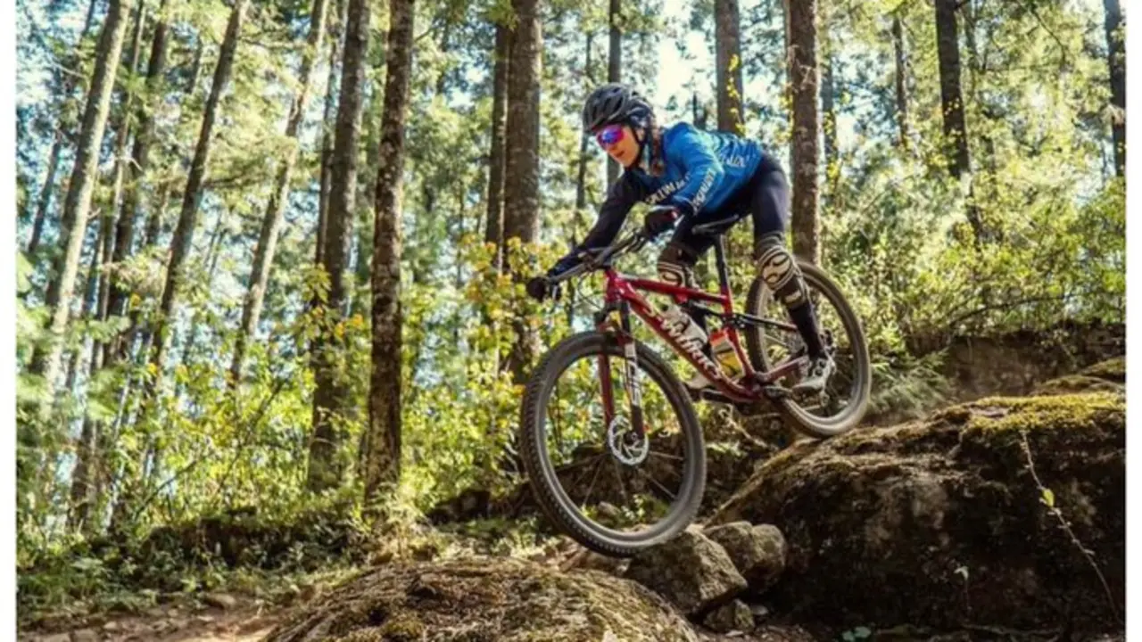 <p> Fuente: Twitter </p>