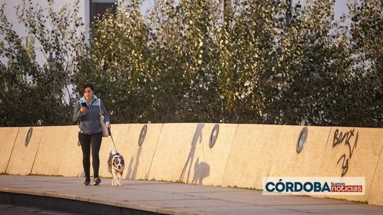 <p> Una mujer pasea a su perro en el Puente de Miraflores | Jos&eacute; Le&oacute;n </p>