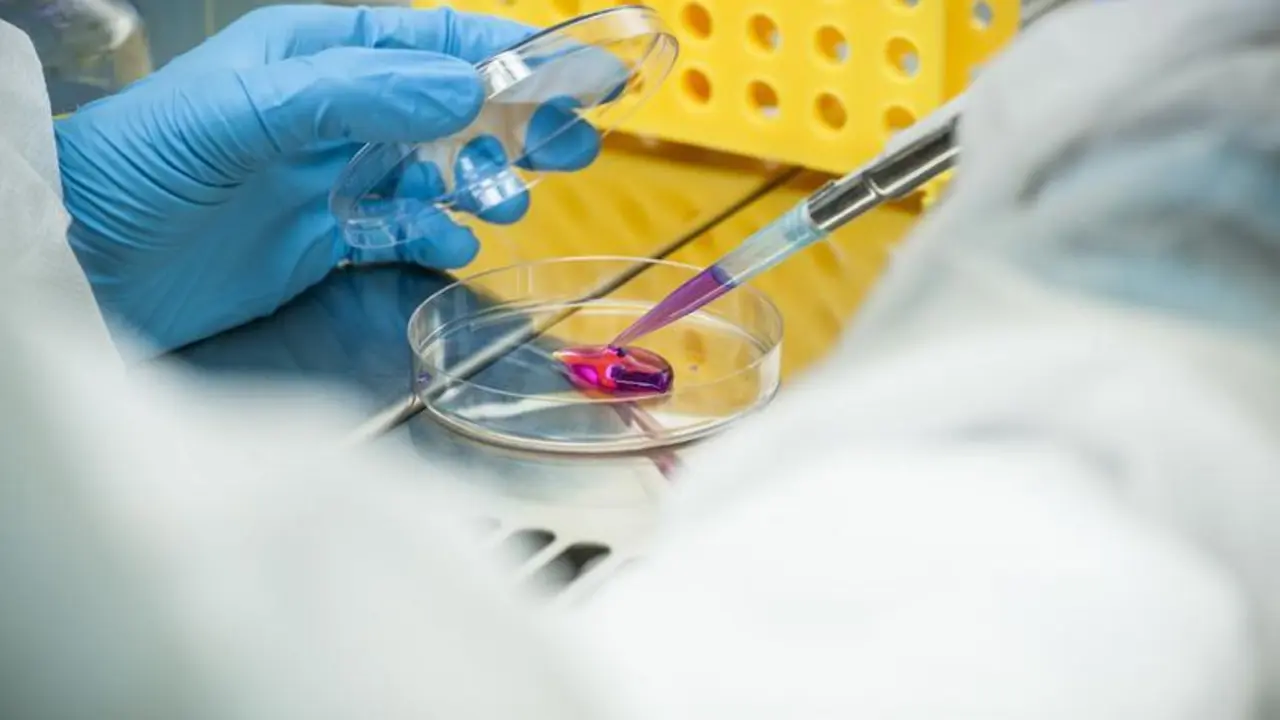 <p> Creative Commons. </p>