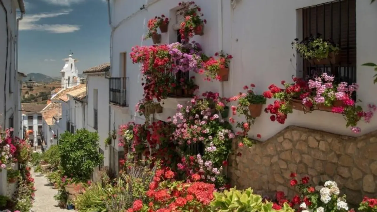 <p> El sector inmobiliario andaluz ha recibido la digitalizaci&oacute;n con los brazos abiertos. </p>