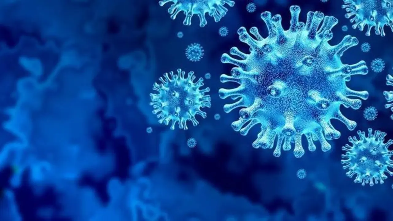 <p> El Covid ha generado muchos mitos que son, simplemente, falsos. </p>