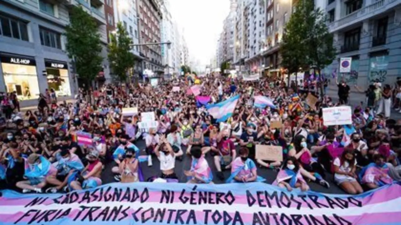 <p> Organizaciones LGTBI y feministas durante una manifestaci&oacute;n </p>