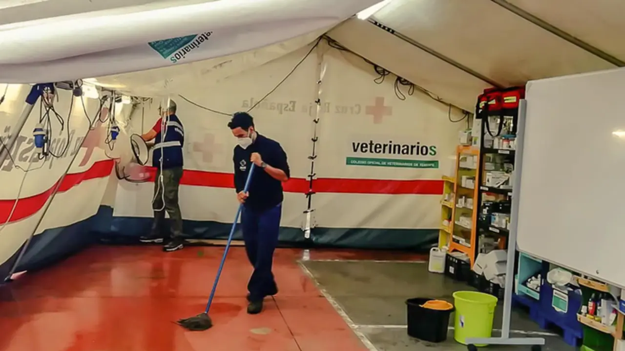 <p> La lluvia afecta a la carpa en la que se presta atenci&oacute;n veterinaria a los animales rescatados - COLEGIO OFICIAL DE VETERINARIOS DE TENERIFE </p>