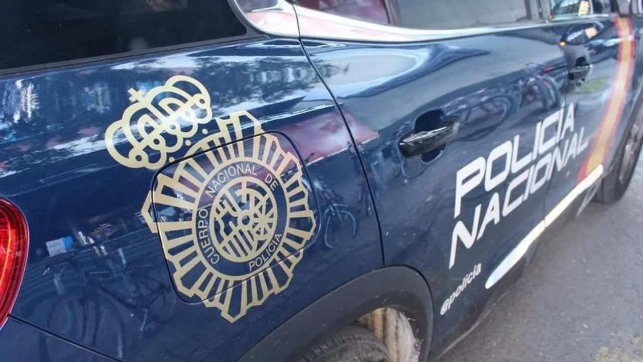 <p> Coche de Polic&iacute;a Nacional - CNP - Archivo </p>