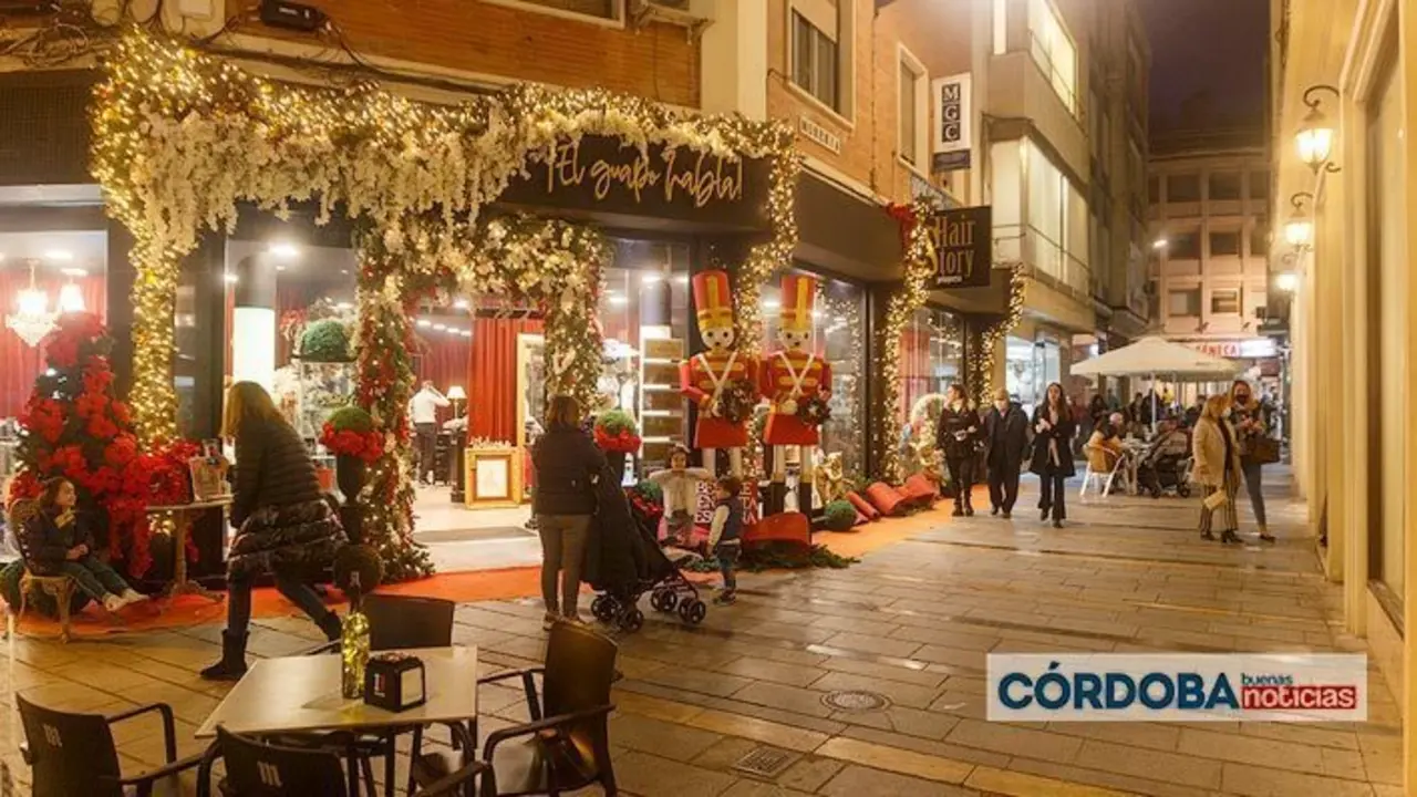 <p> Ambiente de Navidad, comercios. | Jos&eacute; Le&oacute;n. </p>