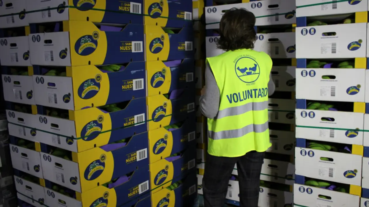 <p> Archivo - Una voluntaria de FESBAL junto a cajas de alimentos. - FESBAL - Archivo </p>