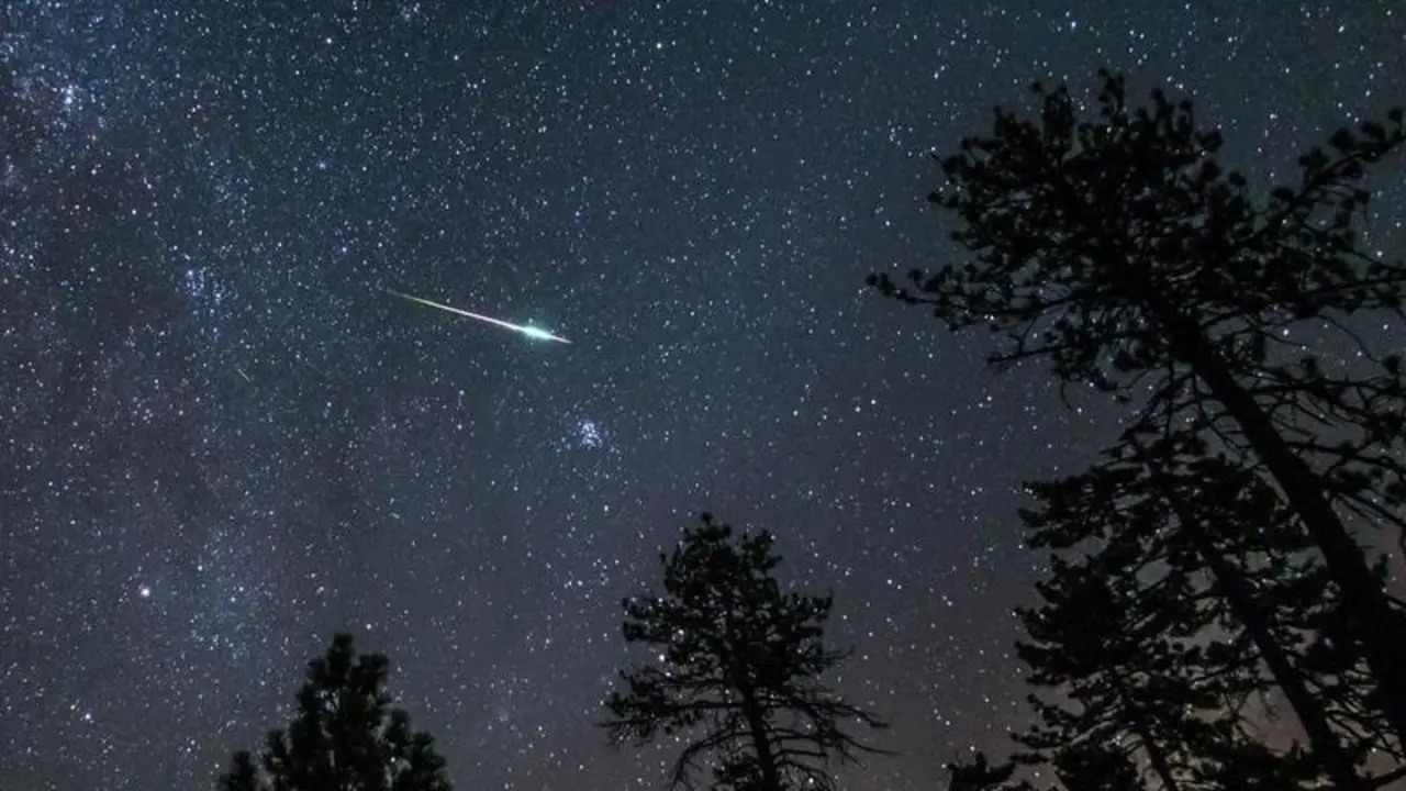 <p> 1609433426_134570_1609433968_noticia_normal </p>