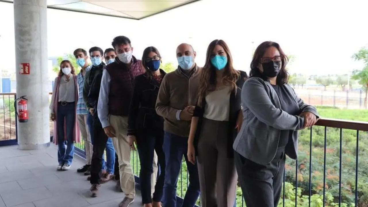 <p> Pablo Bra&ntilde;as Garza lidera el grupo interdisciplinar de investigadores apoyado por estudiantes de la Universidad Loyola </p>