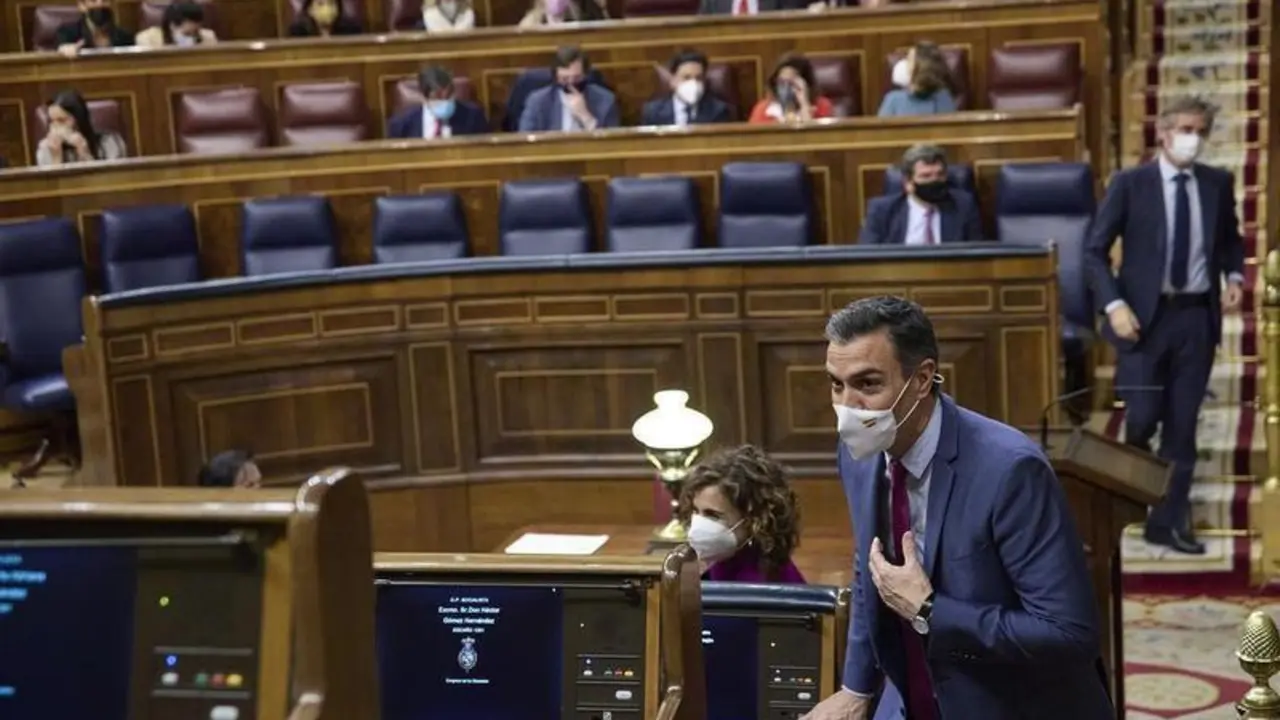 <p> El presidente del Gobierno de Espa&ntilde;a y secretario general del PSOE, Pedro S&aacute;nchez </p>