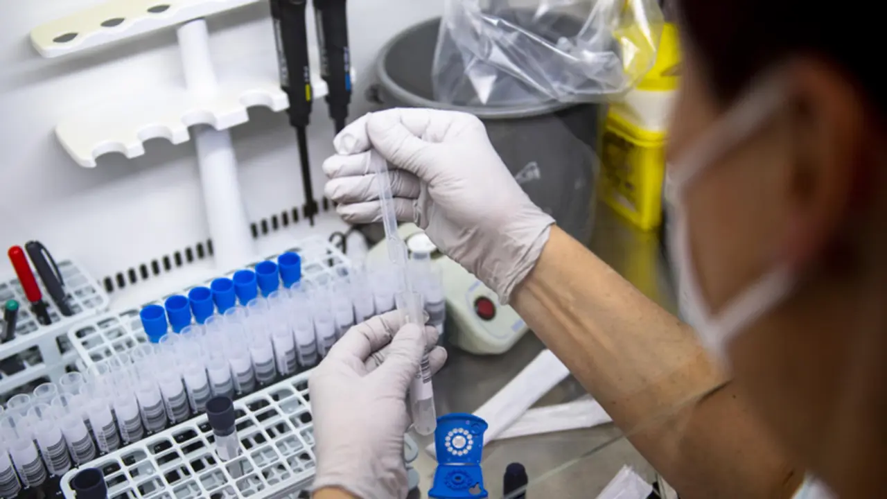 <p> 29 November 2021, Czech Republic, Trutnov: An employee of the microbiological laboratory of the Trutnov Hospital evaluates tests for COVID-19. The first case of the coronavirus variant Omicron in the Czech Republic has been confirmed after further laborat - Tane&egrave;ek David/CTK/dpa </p>