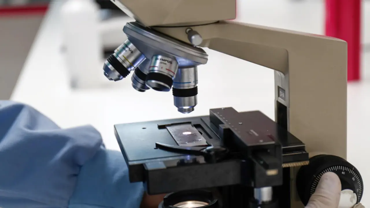 <p> Europa Press. </p>