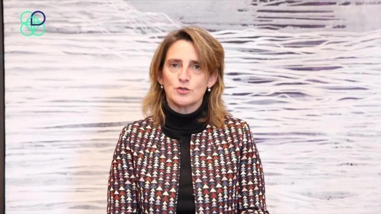 <p> La vicepresidenta tercera y ministra para la Transici&oacute;n Ecol&oacute;gica y Reto Demogr&aacute;fico, Teresa Ribera, da la bienvenida a los 100 ciudadnos que forman parte de la Asamblea Ciudadana por el Clima que comienza este fin de semana </p>
