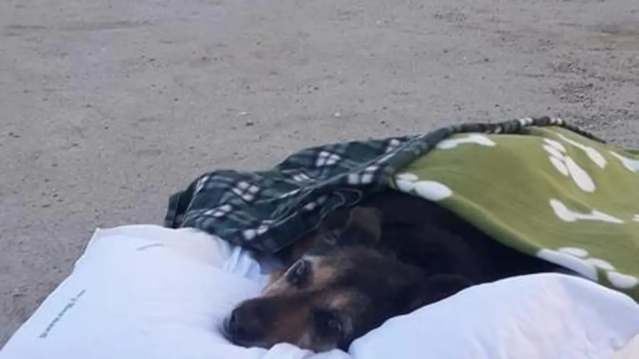 <p> 28951955_10212256823321364_5644667029646200632_n </p>