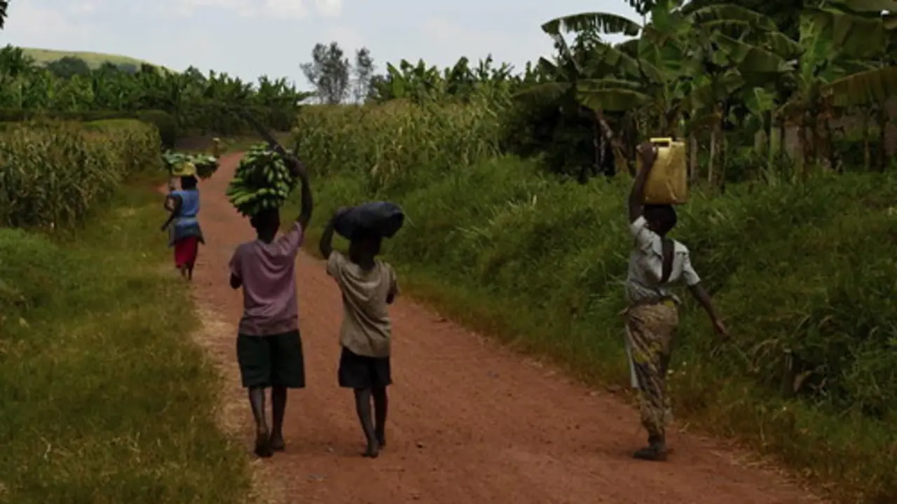 <p> Creative Commons </p>